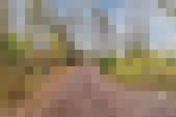 Oude wijk 5 Noordscheschut thumbnail 69