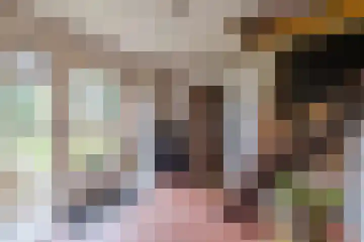Oude wijk 5 Noordscheschut thumbnail 8