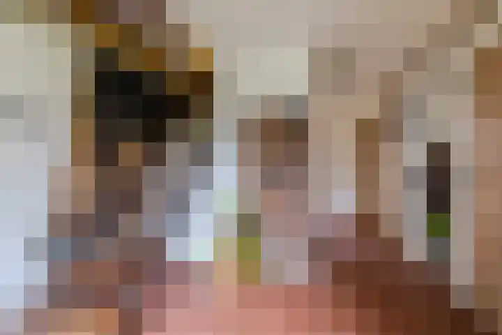 Oude wijk 5 Noordscheschut thumbnail 9