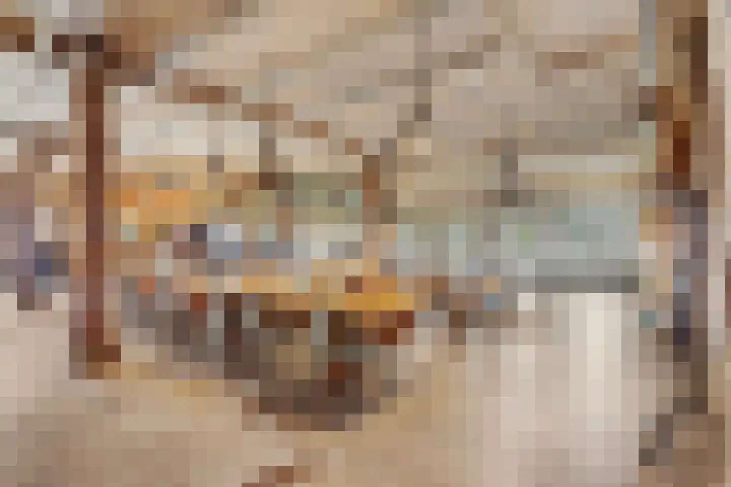 Oude Wilhelmsweg 13 Emmen thumbnail 11