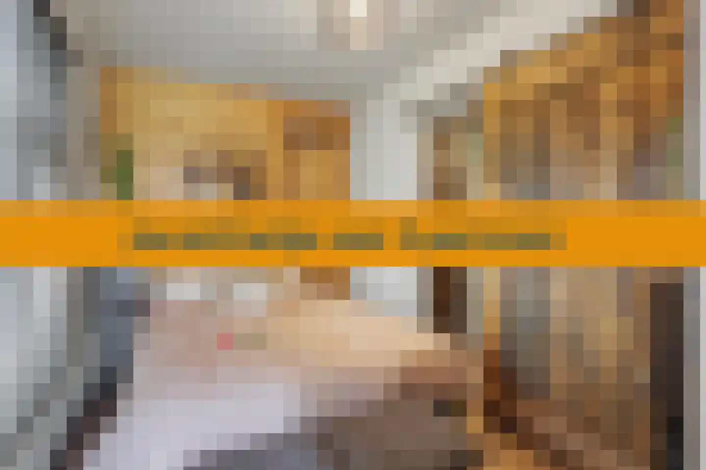 Oude Wilhelmsweg 13 Emmen thumbnail 17