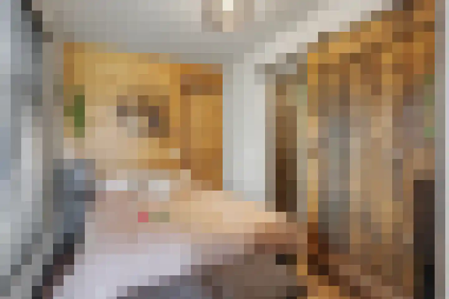 Oude Wilhelmsweg 13 Emmen thumbnail 18
