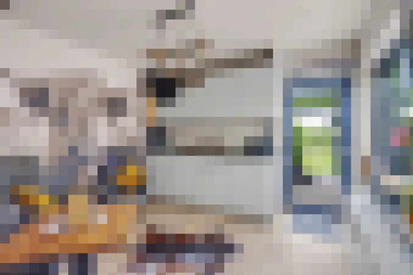 Oude Wilhelmsweg 13 Emmen thumbnail 19