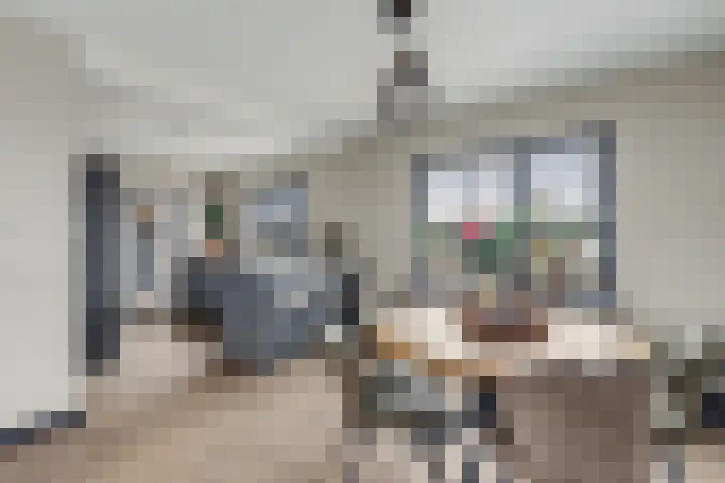 Oude Wilhelmsweg 13 Emmen thumbnail 26