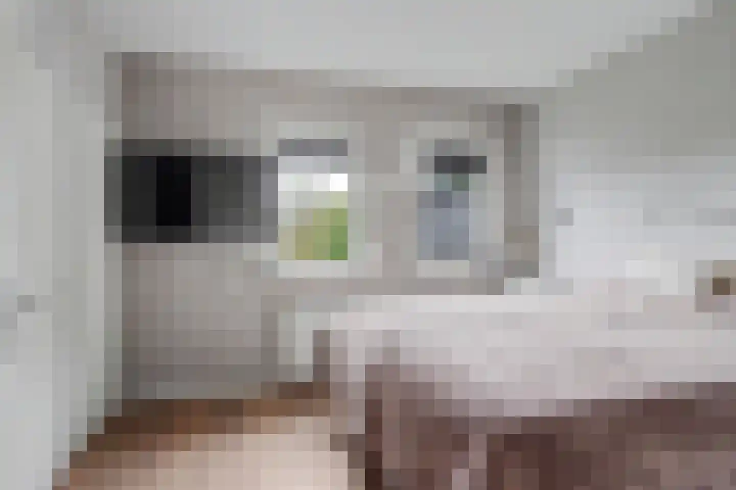 Oude Wilhelmsweg 13 Emmen thumbnail 28