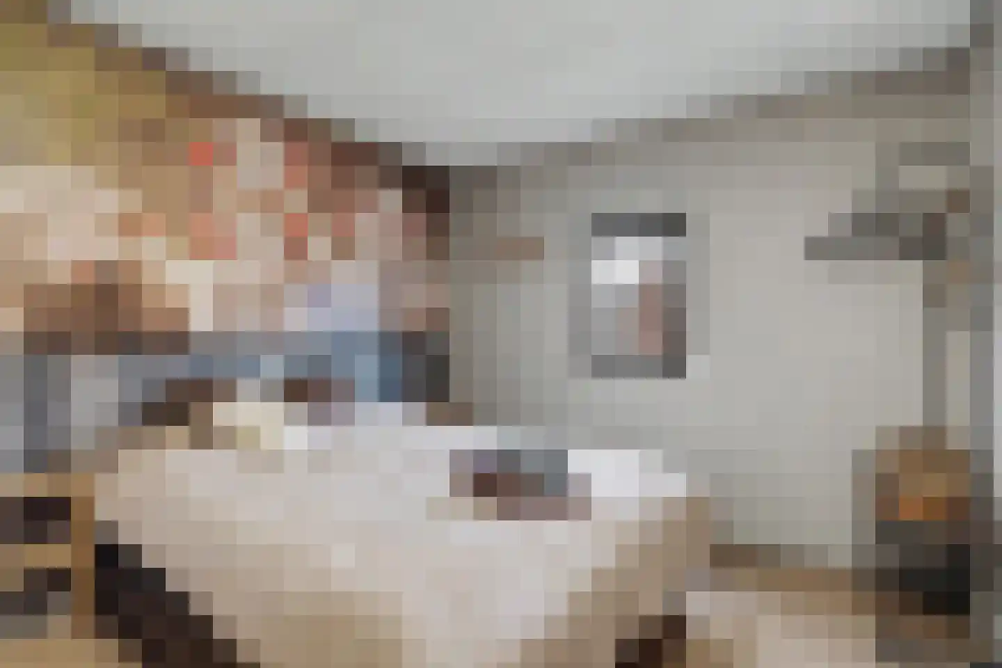 Oude Wilhelmsweg 13 Emmen thumbnail 5