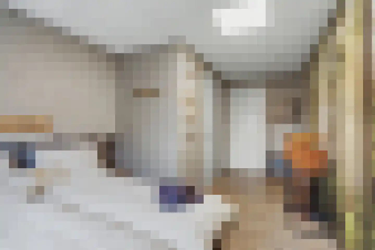 Oude Wilhelmsweg 13 Emmen thumbnail 7