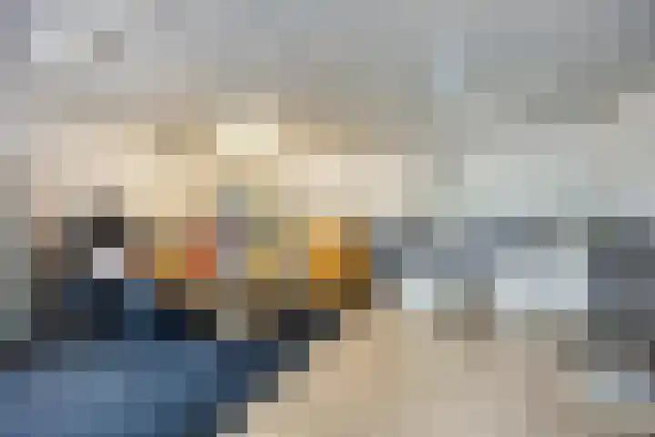 Oude Wilhelmsweg 17 Emmen thumbnail 14