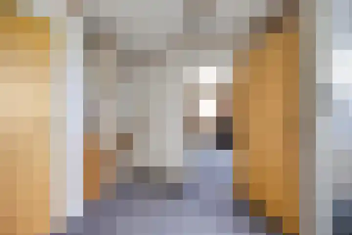 Oude Wilhelmsweg 17 Emmen thumbnail 16
