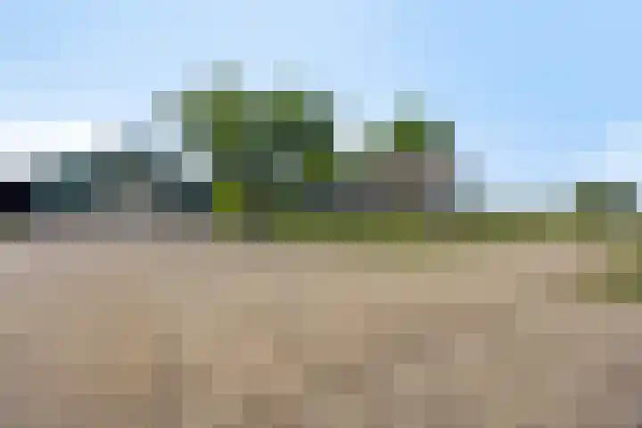Oude Wilhelmsweg 17 Emmen thumbnail 25