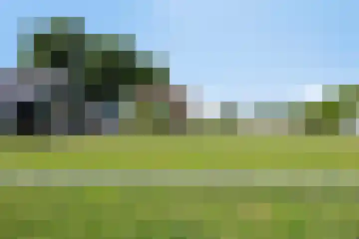 Oude Wilhelmsweg 17 Emmen thumbnail 26