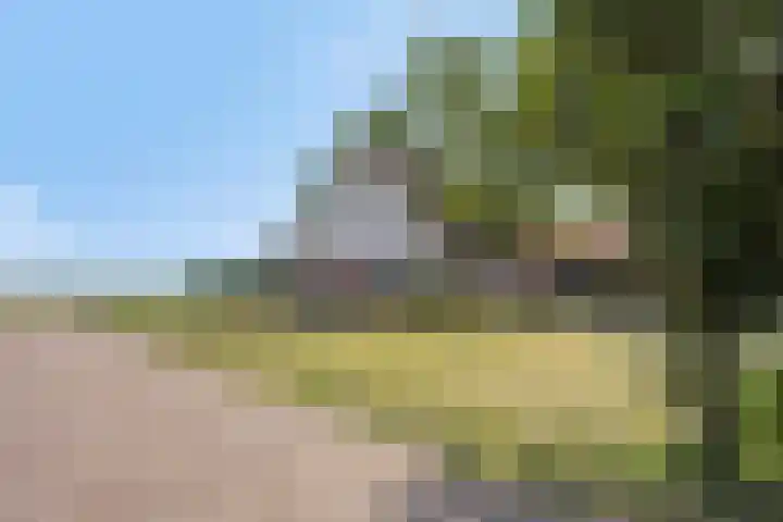 Oude Wilhelmsweg 17 Emmen thumbnail 30