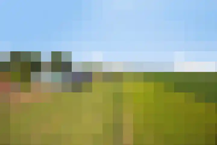 Oude Wilhelmsweg 17 Emmen thumbnail 31