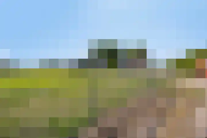 Oude Wilhelmsweg 17 Emmen thumbnail 33