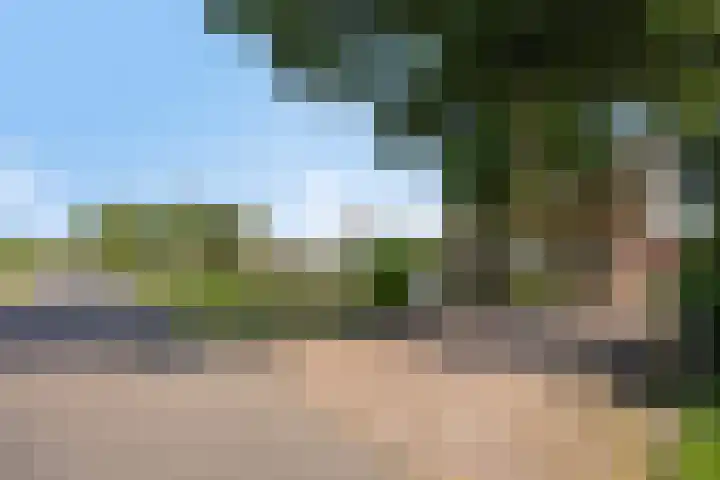 Oude Wilhelmsweg 17 Emmen thumbnail 34