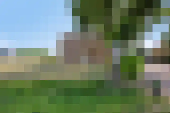 Oude Wilhelmsweg 17 Emmen thumbnail 35
