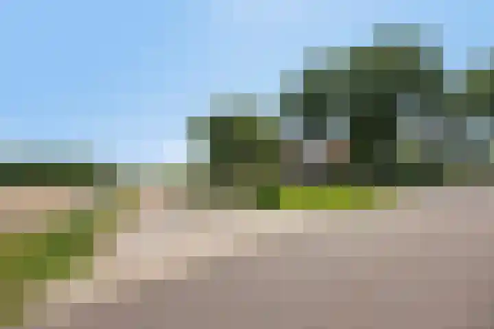 Oude Wilhelmsweg 17 Emmen thumbnail 36