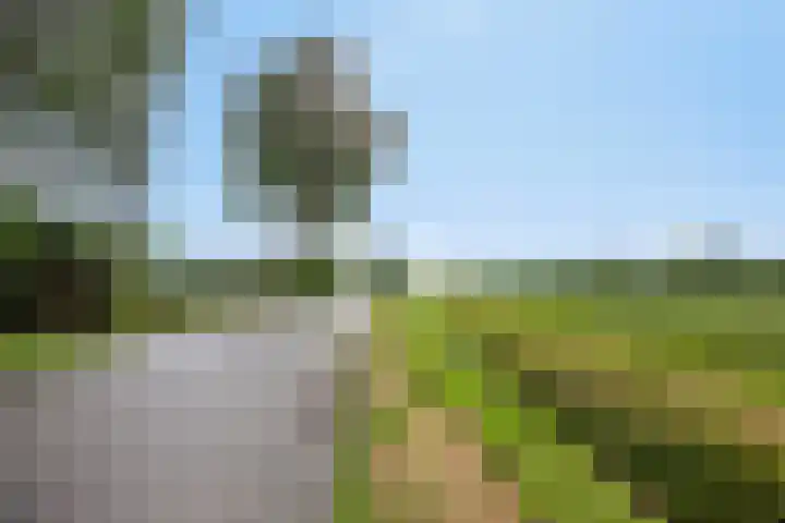 Oude Wilhelmsweg 17 Emmen thumbnail 37