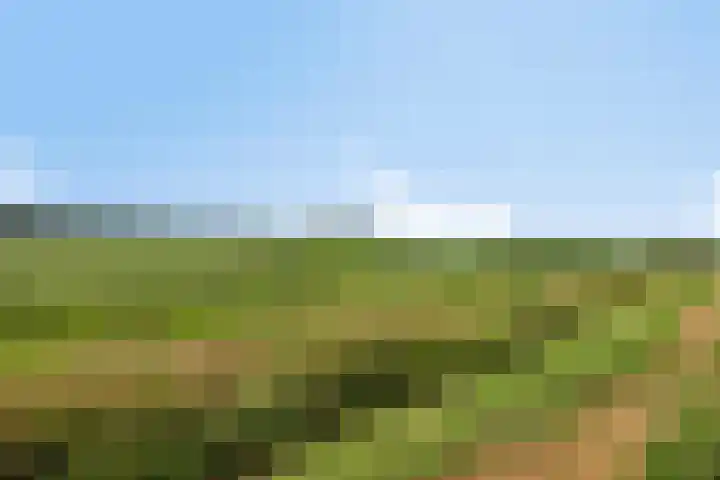 Oude Wilhelmsweg 17 Emmen thumbnail 38