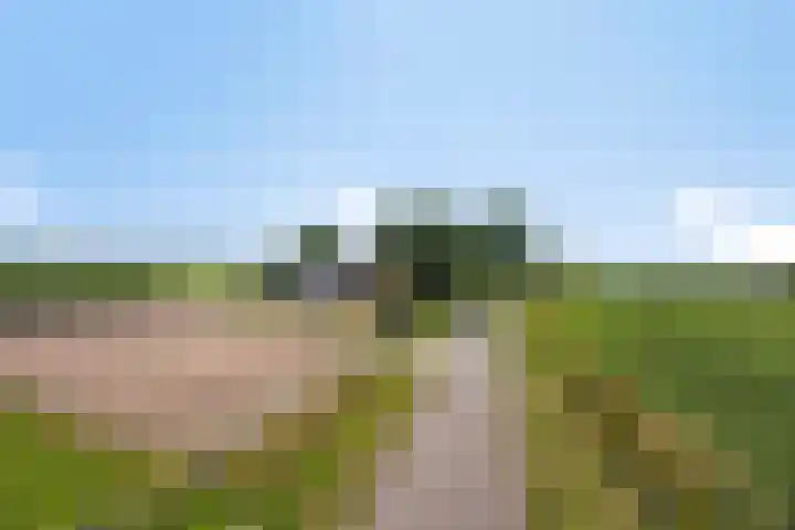 Oude Wilhelmsweg 17 Emmen thumbnail 39