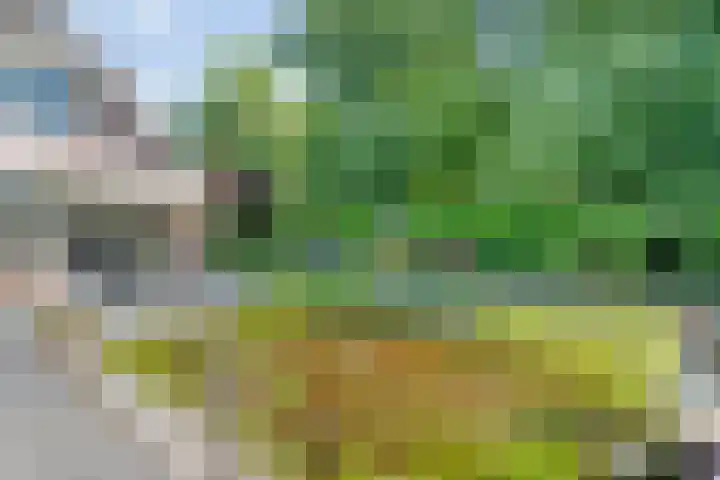 Oude Windslaan 39 a Almelo thumbnail 26