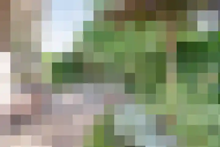 Oude Windslaan 39 a Almelo thumbnail 28