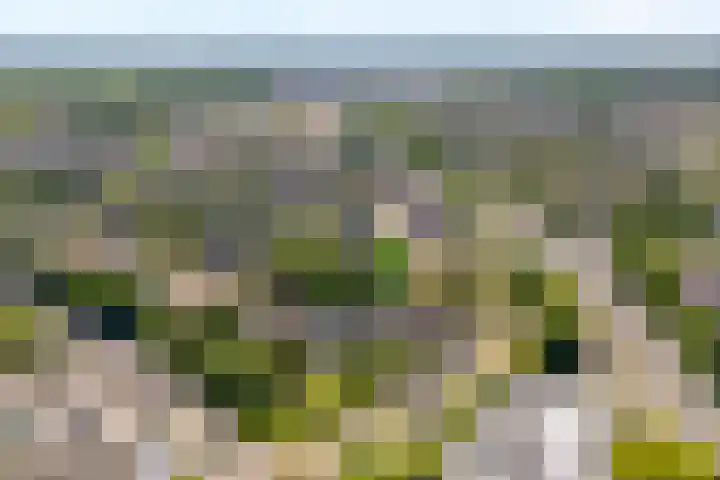 Oude Windslaan 39 a Almelo thumbnail 30