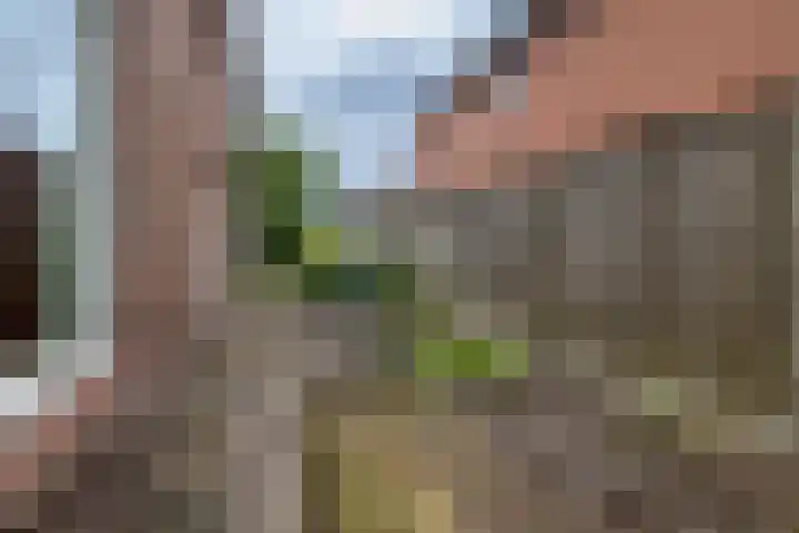 Oude Windslaan 49 Almelo thumbnail 25