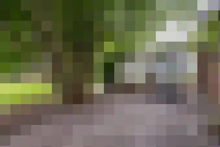 Oude Windslaan 49 Almelo thumbnail 26