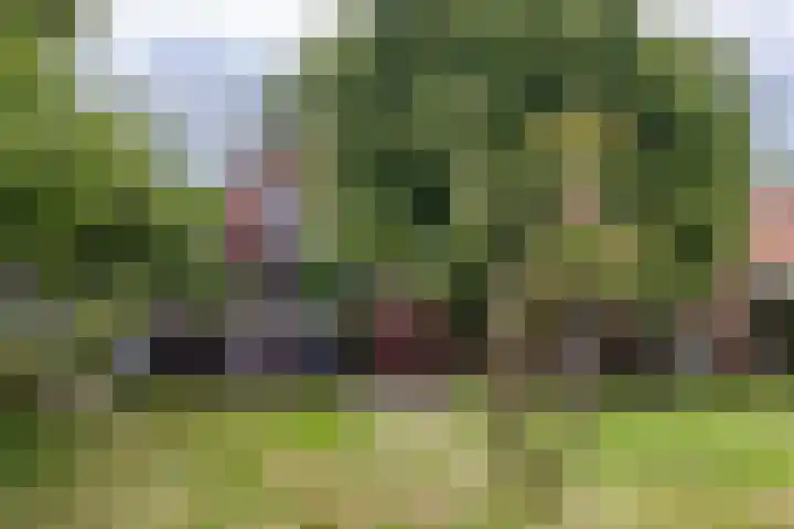 Oude Windslaan 49 Almelo thumbnail 27