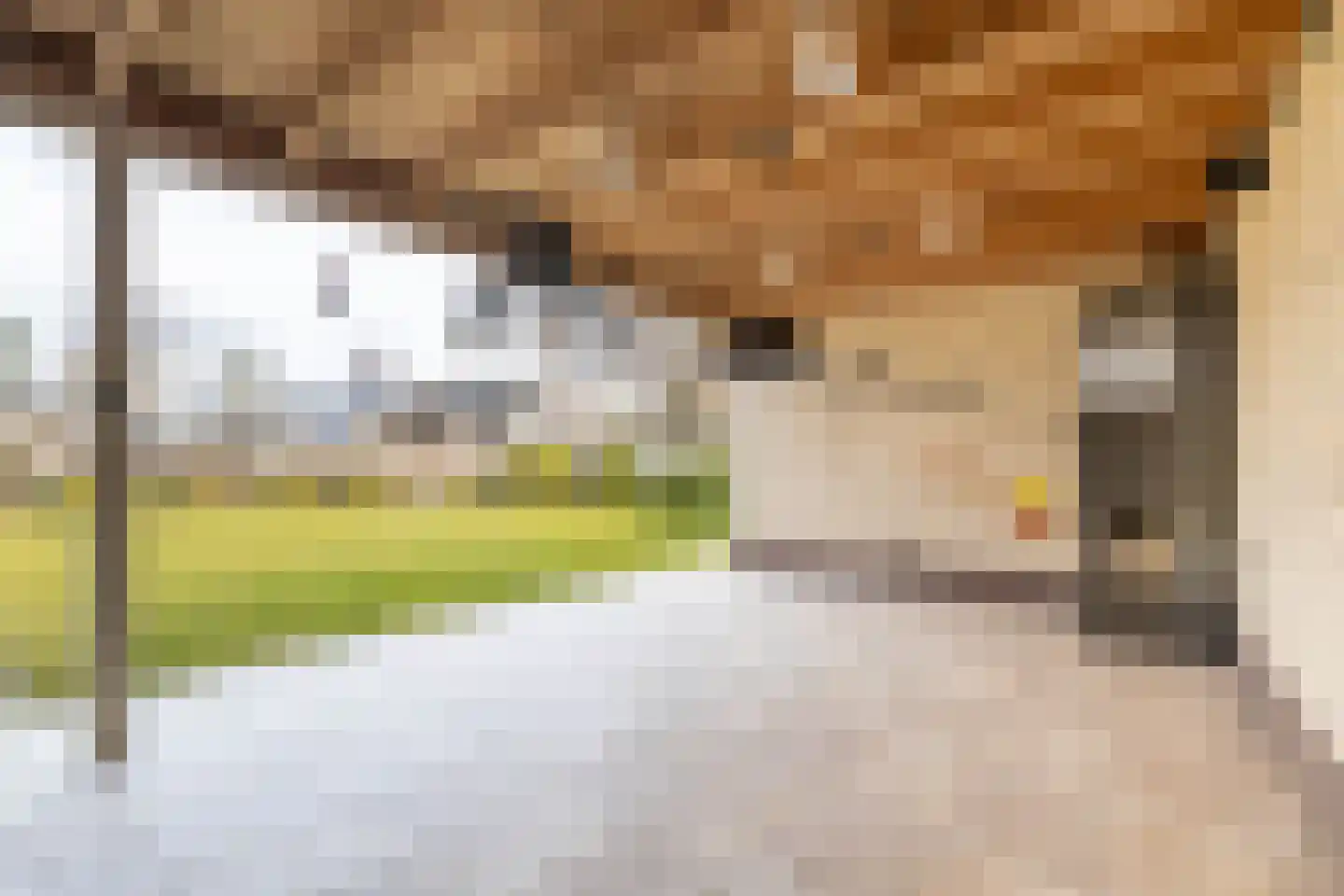 Oude Windslaan 67 a Almelo thumbnail 21
