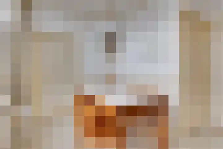 Oude Winterswijkseweg 25 Vragender thumbnail 17