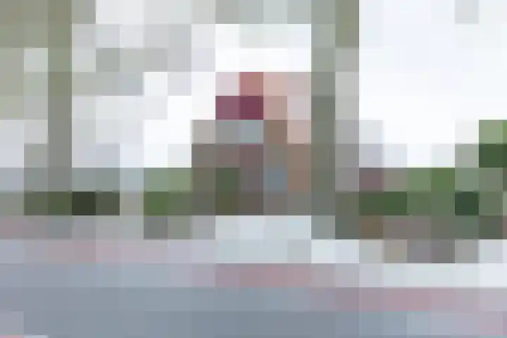 Oude Winterswijkseweg 25 Vragender thumbnail 42