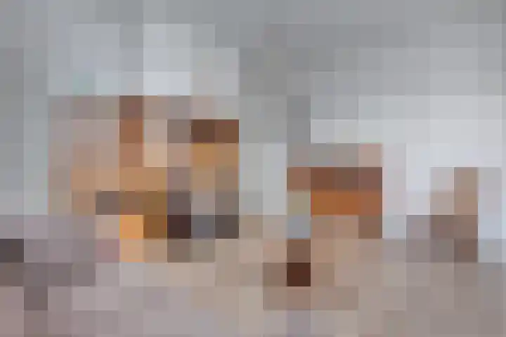 Oude Winterswijkseweg 25 Vragender thumbnail 8