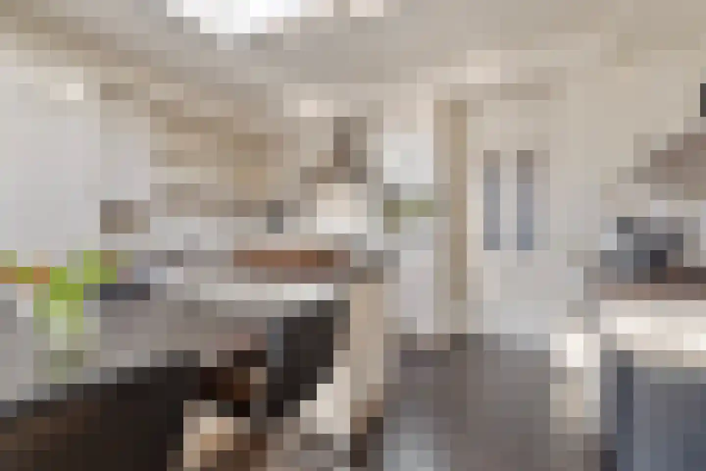 Oude Wisselseweg 49 Epe thumbnail 20
