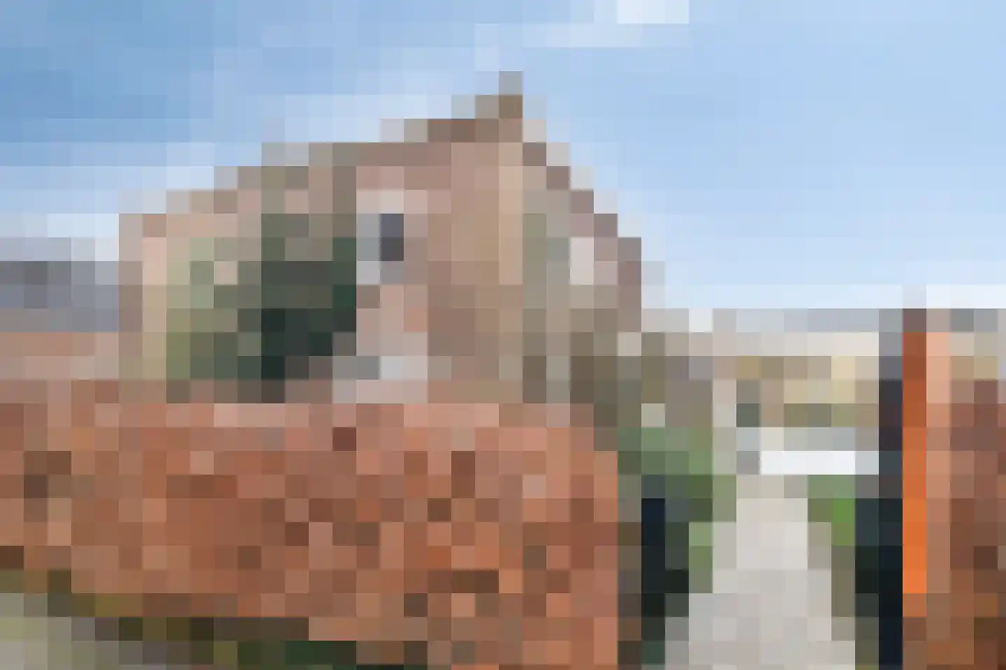 Oude Wisselseweg 49 Epe thumbnail 4