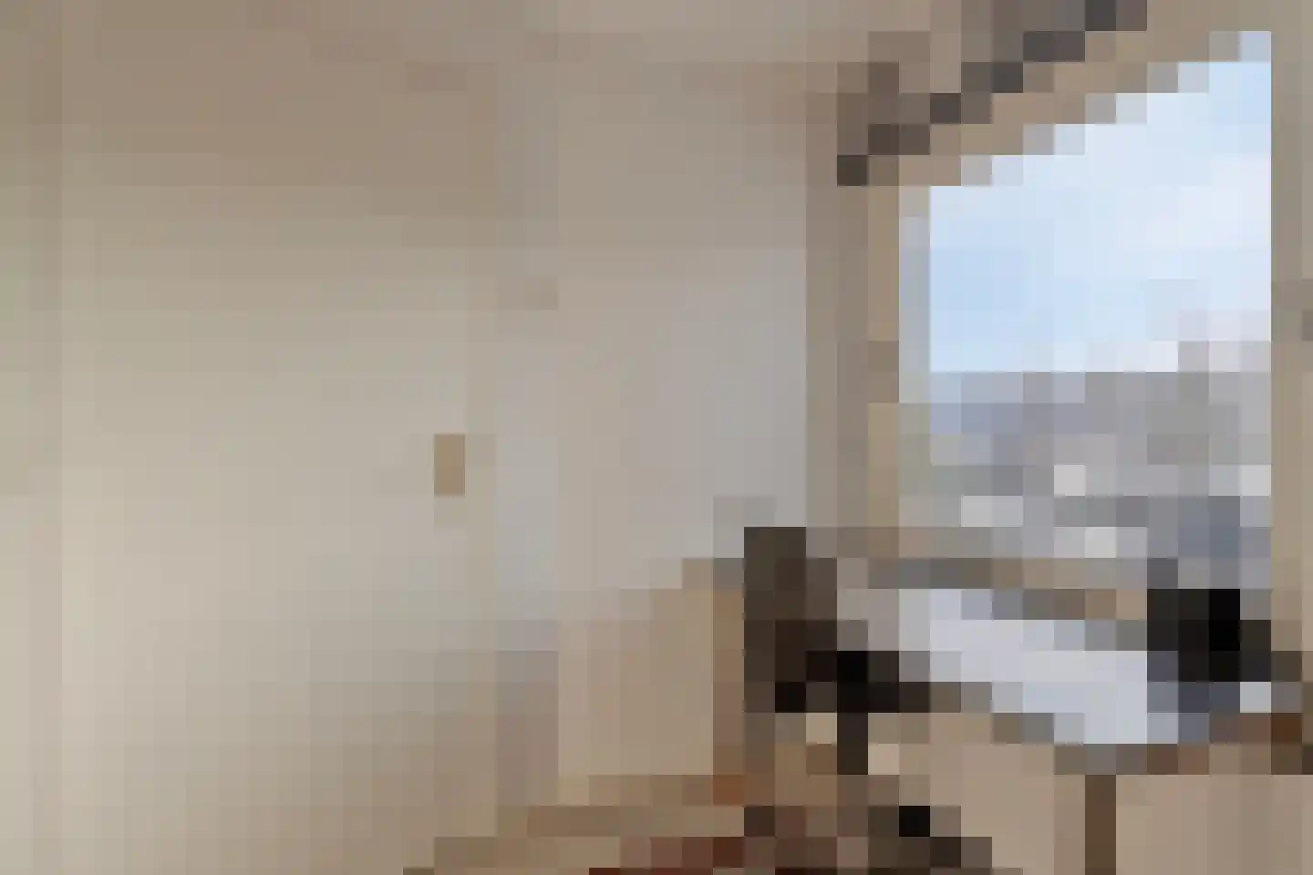 Oude Wisselseweg 49 Epe thumbnail 40