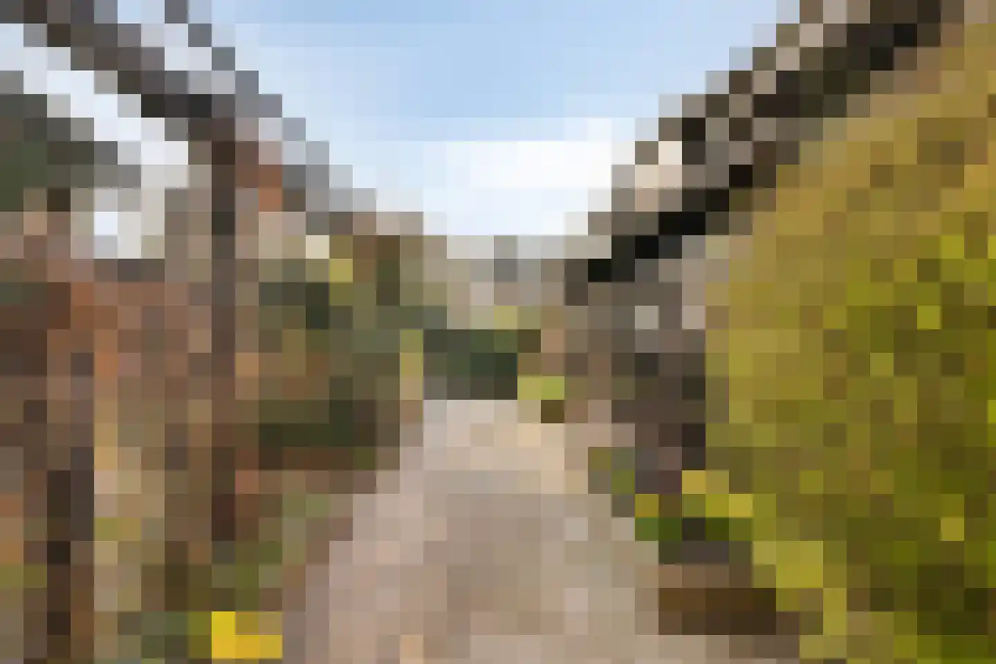 Oude Wisselseweg 49 Epe thumbnail 49