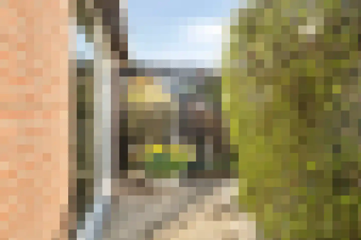 Oude Wisselseweg 49 Epe thumbnail 50