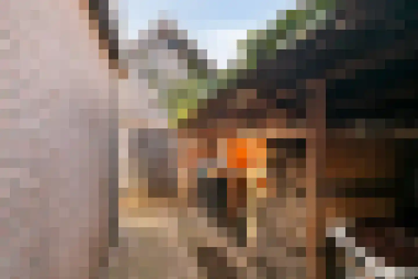 Oude Wisselseweg 49 Epe thumbnail 51
