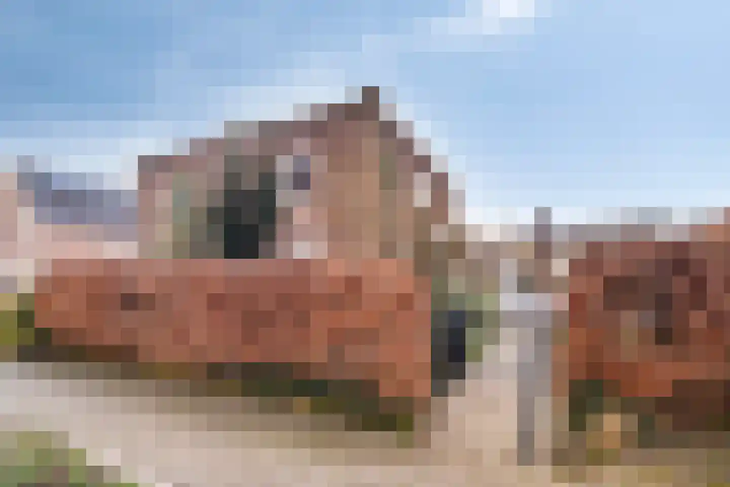 Oude Wisselseweg 49 Epe thumbnail 53