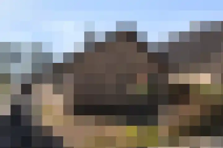 Oude Wisselseweg 57 Epe thumbnail 19