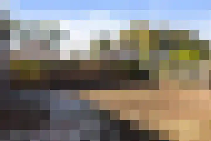 Oude Wisselseweg 57 Epe thumbnail 22