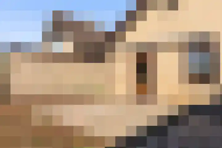Oude Wisselseweg 57 Epe thumbnail 23