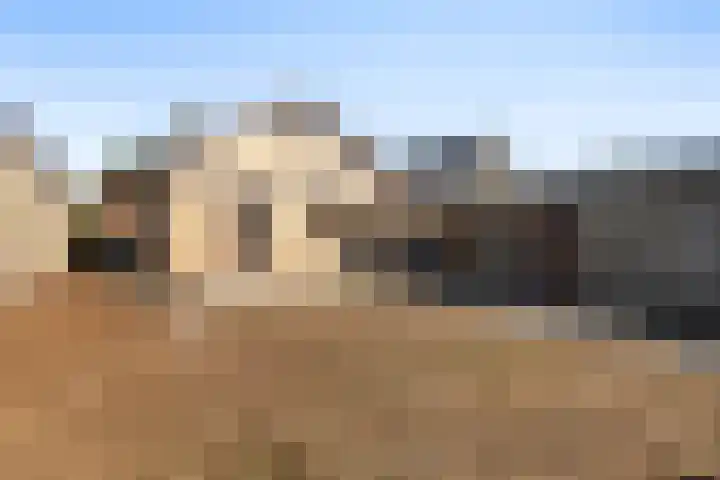 Oude Wisselseweg 57 Epe thumbnail 26