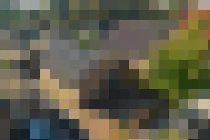 Oude Wisselseweg 57 Epe thumbnail 27