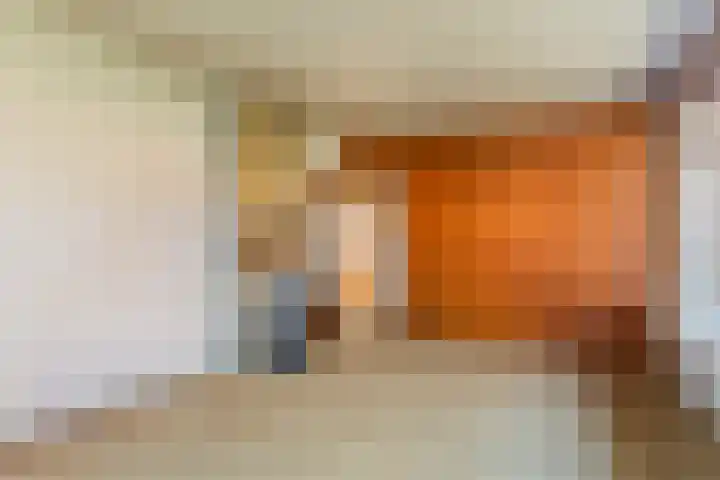 Oude Wisselseweg 57 Epe thumbnail 6