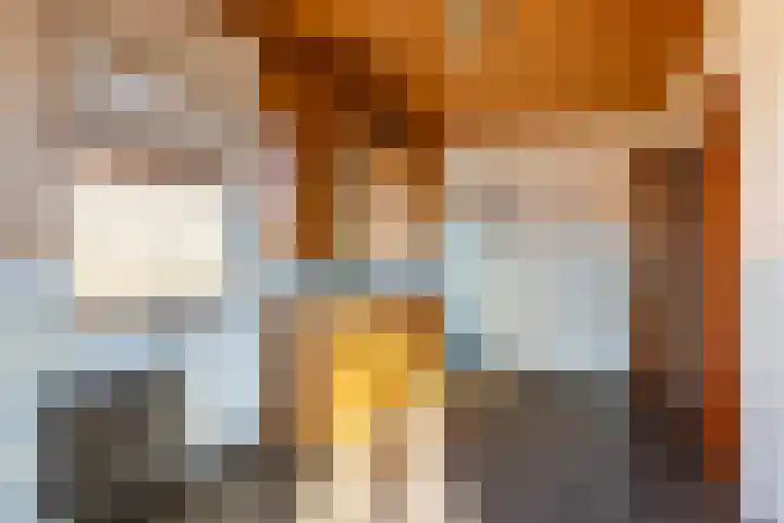 Oude Wisselseweg 57 Epe thumbnail 8