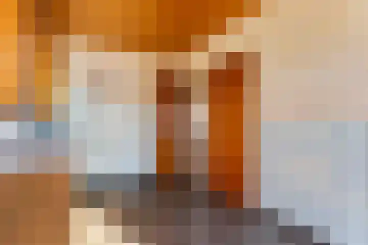 Oude Wisselseweg 57 Epe thumbnail 9