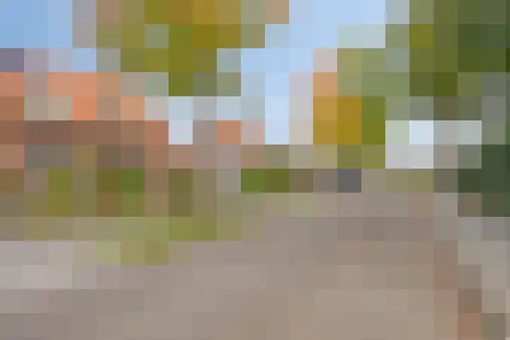 Oude Wisselseweg 60 Epe thumbnail 27